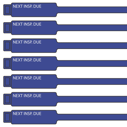 300mm blue next Inspection Due Rig Tag 