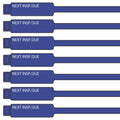 300mm blue next Inspection Due Rig Tag 