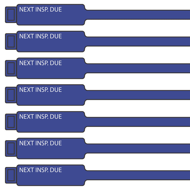 300mm blue next Inspection Due Rig Tag 