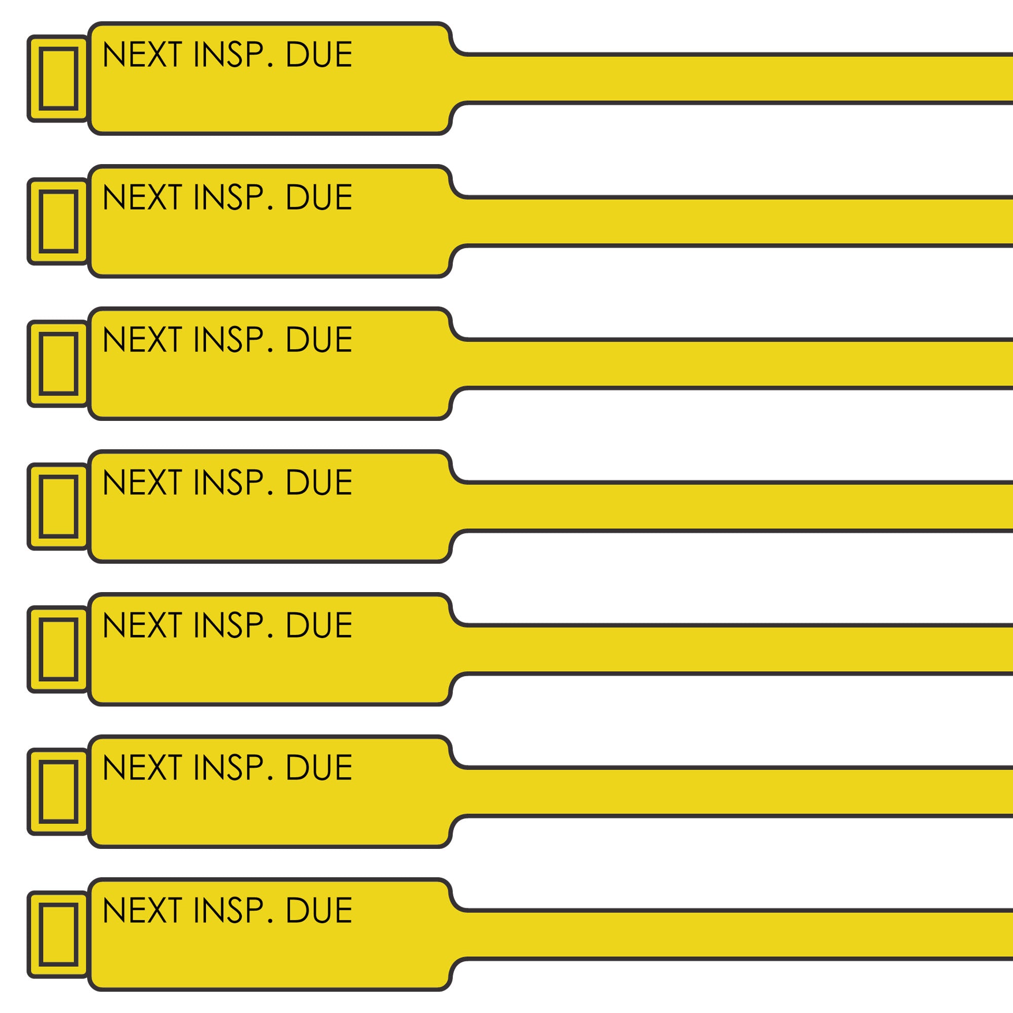 12 inch Next Inspection Due Tags – Archford USA